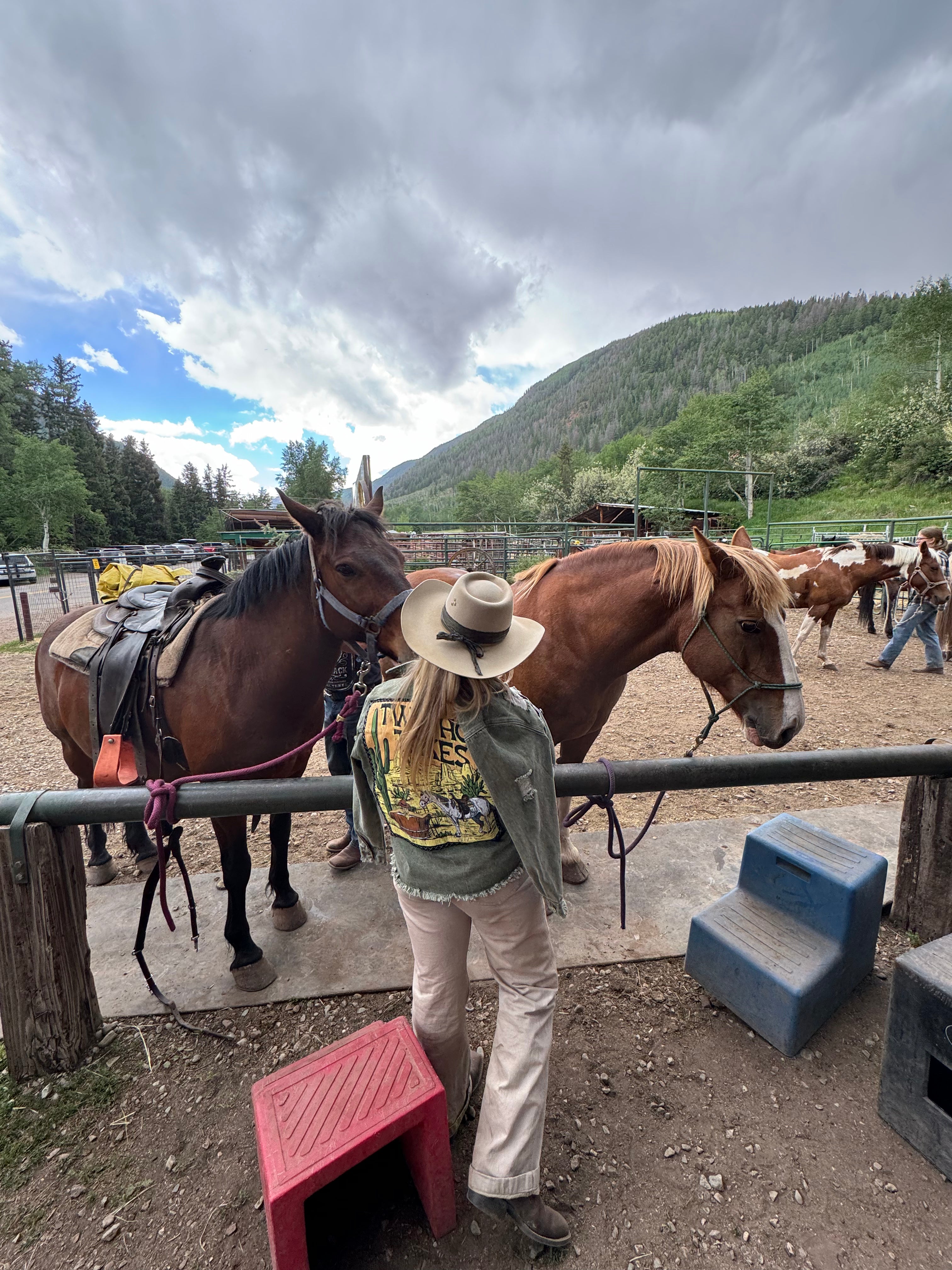 Desert Horse Olive Denim Shacket